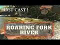 Fly Fishing the Roaring Fork River in Colorado Dry Fly Action