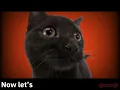 Wolf in Sheeps Clothing [REBORN] || Animation