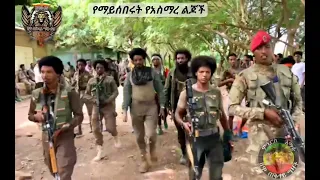 አርበኛ መከታዉ ማሞ የሸዋ ጠቅላይ ግዛት አዛዥ ፈጣሪ ይጠብቅክ 