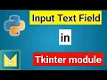Create an Input Text Field to Take User Input Python Magix