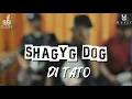 Lagu Lagu rege viral DI TATO - shaggy dog || cove by CHINOS ska