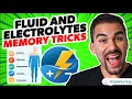 Fluid and Electrolytes Visual Memorization Tricks for NCLEX RN LPN