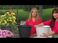 ATLeisure Set of 2 14 Diameter ILLUSION Resin Planters on QVC