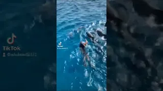 بص بص الحركه دي احمد حلمى احمد حلمي  بص بص الحركه دي احمد حلمى احمد حلمي