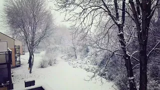 ادم   الناس تغيرت دندنها