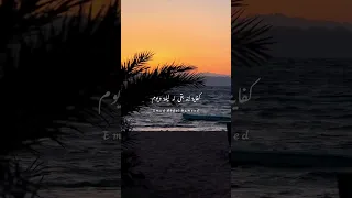 حبيبي ولا على باله شوقي 