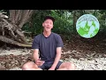 Download Lagu Routes of Change - Day 1202 South Sumatra, Malaysia