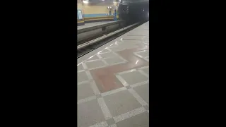وفي ليلة مش ناسيها دندنها