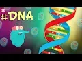 Download Lagu What Is DNA? | The Dr. Binocs Show - Best Learning Videos For Kids | Peekaboo Kidz