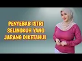 Download Lagu PENYEBAB ISTRI SELINGKUH YANG TIDAK DIKETAHUI