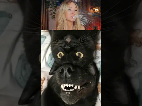 Try Not To Laugh Challenge 881