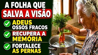 Era CEGA e agora vê / A FOLHA PARA VISÃO QUE VOCÊ PISA NO QUINTAL 