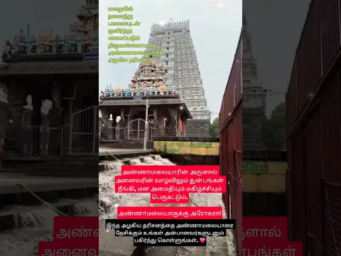 மழையில் குளிர்ந்த திருவண்ணாமலையின் அழகிய தரிசனம்🙏#shorts#devotional #hindudeity #trending #reels