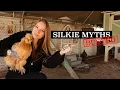 The TRUTH About Silkie Chickens