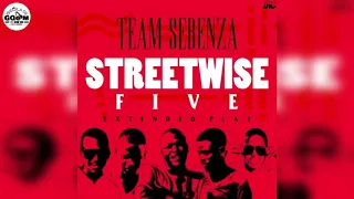 team sebenza the big five