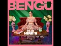 Dur Nereye Bengü