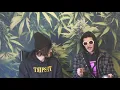 Strain Tasters Cannabis Reviews - Sorbetto