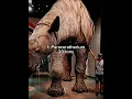 The animals that came after the dinosaurs were GIANT!!! #prehistoric #elephant