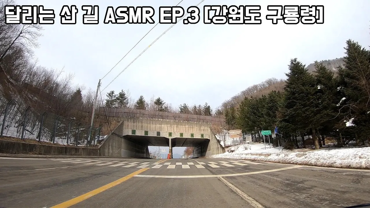 달리는 산 길 ASMR EP.3 강원도 오대산 구룡령 주행 ASMR #i30 #주행asmr #와인딩 サムネイル