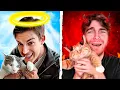 Download Lagu Beste versus slechtste YouTube-huisdiereigenaren