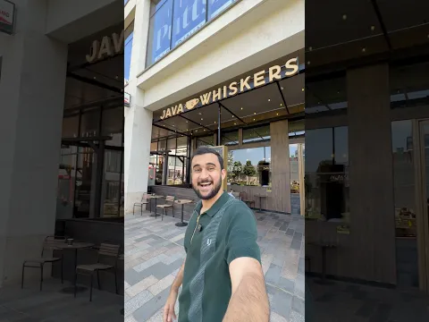 كافيه القطط في لندن 🐈🇬🇧 #عبدالعزيز_أكرم