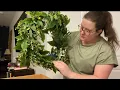Spring Wreath from Amazon Honest Review
