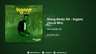 slang beatz sa ingane vocal mix promo track 