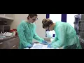 VetCo Workshop 2018 - Nephrology and Renal Replacement Therapies in Cats and Dogs