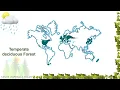 Climate and natural vegetation III Deciduous Forest