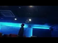 Download Lagu Masih Ada - Odyssey