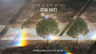 להקת שלוה החיים חזקים מהכל 