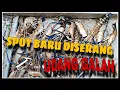 Download Lagu SPOT PANAS UDANG GALAH | SUNGAI SETERAP LINGGA | SARAWAK | #fishing #joran #angler #udanggalah 