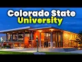 GUIDE TO COLORADO STATE UNIVERSITY Everything You Need to Know