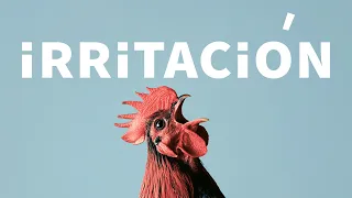 Irritación - hoy - palabras aladas
