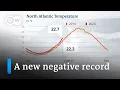 How catastrophic rising ocean temperatures are for the environment DW News