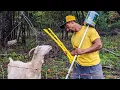 How to choose the BEST fence for your Livestock
