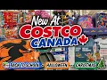 NEW at Costco Canada Back to School Finds Halloween CHRISTMAS