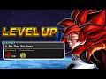 THE BEST NEW QUEST MODE STAGES FOR LINK LEVELLING YOUR UNITS DECEMBER 2025 DBZ DOKKAN BATTLE