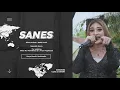 SANES - SHINTA ARSINTA - RAFFA MUSIK