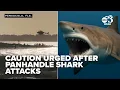 NOAA biologist urges caution after two Florida Panhandle shark bites