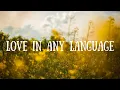 Download Lagu LOVE IN ANY LANGUAGE || LYRICS