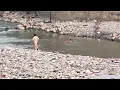 A man swims Through a Mountain River - Enjoying with Nature