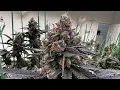 Top 10 Strains of 2024