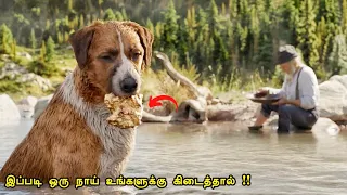 tamil hollywood times movie story u0026 review in tamil