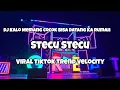 Download Lagu DJ STECU STECU VIRAL TIKTOK FULLBASS‼️Adit Sparky Official Nwrmxx