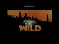 Download Lagu Opening To The Fox And The Hound:Platinum Edition 2006 VHS