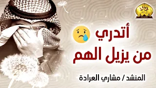 أتدري من يزيل الهم   مشاري العرادة دندنها