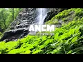 VOTOXY - Nonam (Amazing No Copyright Music)