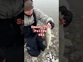 Download Lagu #fishingdaily #fishoftheday #fishanatomy #fish #fishthemoment FHA tackle