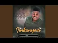 Download Lagu Iinkanyezi (Live)